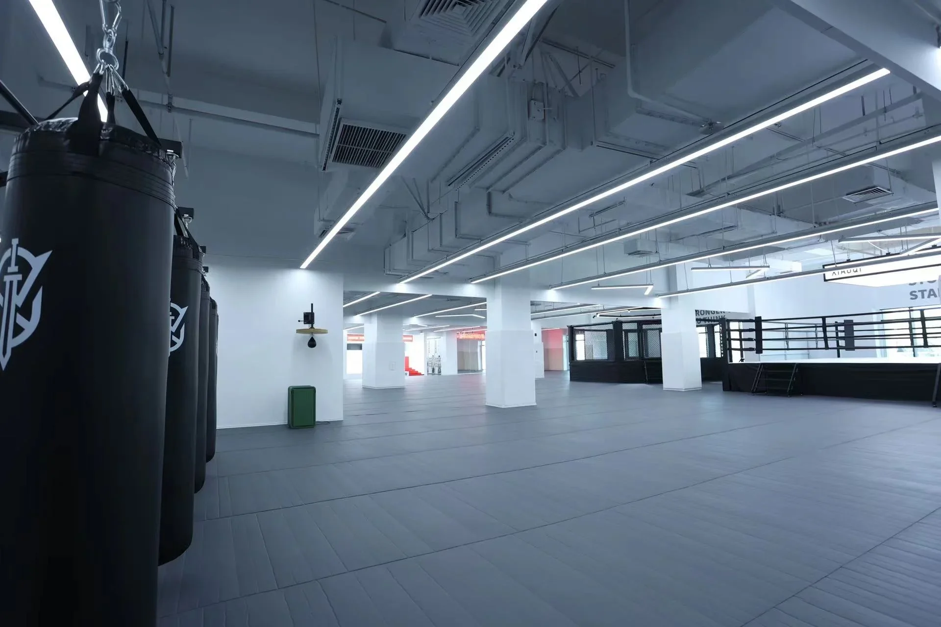 Платформа для скоростного бокс – обзор и цена Speed Bag Boxing